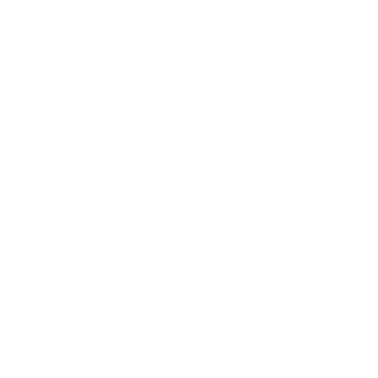 FF_LOGO_1