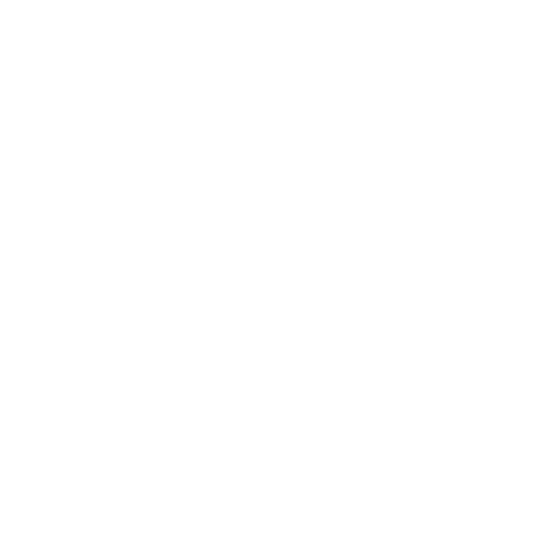 SS_logo_1